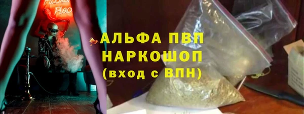 стаф Россошь