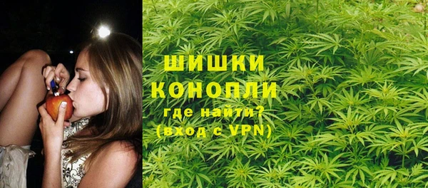 стаф Россошь